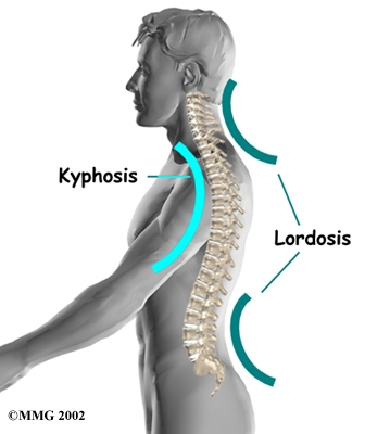 Cervical-Lordosis-Diagram[1]