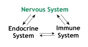 NEI2[1]